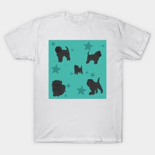 Affenpinscher Pattern Turqouise T-Shirt